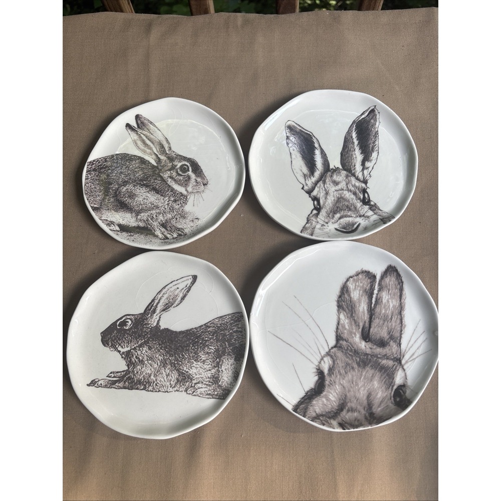 Arlington Designs 4 Ceramic Plates Rabbits Bunny Whimsical Decor ONLY Crazing 6"